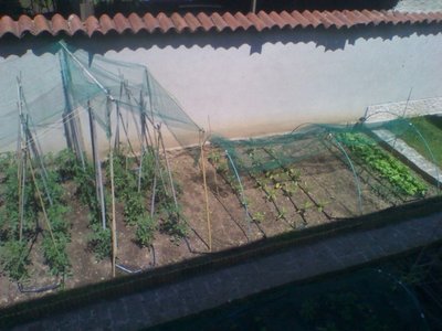 lato nord 24 maggio.jpg (75.54 KiB) Osservato 742 volte lato nord 24 maggio.jpg