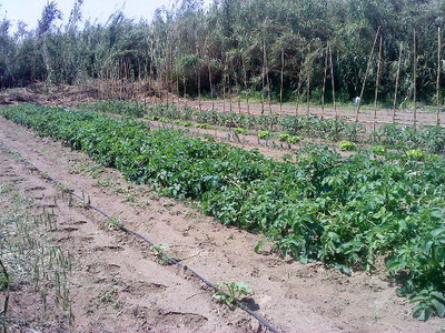 ciao!.JPG (174.95 KiB) Osservato 921 volte ciao!.JPG