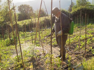 DSCN9057.JPG (206.62 KiB) Osservato 875 volte DSCN9057.JPG