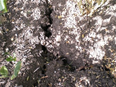 DSCN9557.JPG (323.47 KiB) Osservato 877 volte DSCN9557.JPG