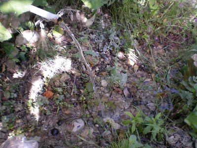 Acqua.JPG (288.09 KiB) Osservato 877 volte Acqua.JPG