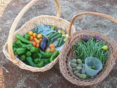 Raccolto 22 giugno.JPG (52.04 KiB) Osservato 1261 volte Raccolto 22 giugno.JPG