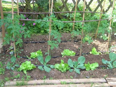 4.jpg (104.8 KiB) Osservato 970 volte 4.jpg