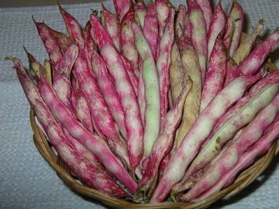 1.jpg (74.24 KiB) Osservato 939 volte 1.jpg