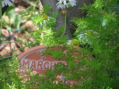 5.jpg (79.56 KiB) Osservato 892 volte 5.jpg