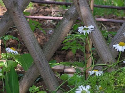 5bis.jpg (59.78 KiB) Osservato 892 volte 5bis.jpg