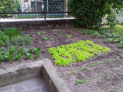 1a.jpg (342.18 KiB) Osservato 1124 volte 1a.jpg