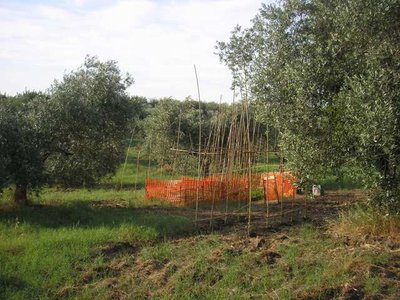 Panoramica / P1011973.JPG P1011973.JPG