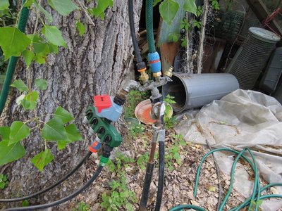 1impianto.JPG (168.66 KiB) Osservato 835 volte 1impianto.JPG