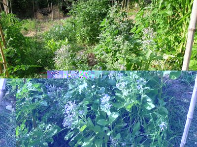 5vvv.JPG (212.49 KiB) Osservato 835 volte 5vvv.JPG