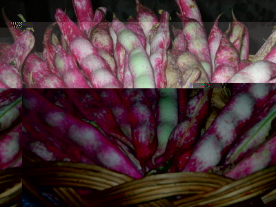 borlotti.jpg borlotti.jpg