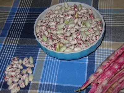 borlotti 1.jpg borlotti 1.jpg