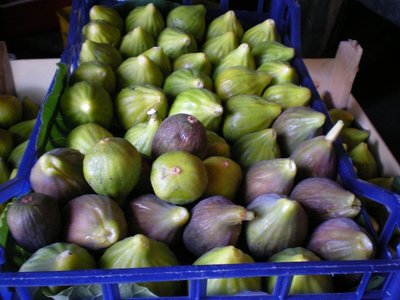Fichi.JPG (168.2 KiB) Osservato 724 volte Fichi.JPG