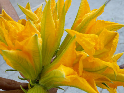 FIORI APERTI.jpg (145.61 KiB) Osservato 777 volte FIORI APERTI.jpg