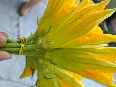 FIORI MAZZI.jpg (137.7 KiB) Osservato 777 volte FIORI MAZZI.jpg