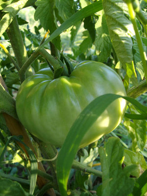 tondi1.jpg (111.11 KiB) Osservato 3580 volte tondi1.jpg