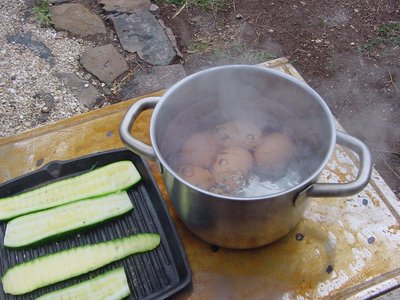 uovaezucchinesustufa.JPG (265.85 KiB) Osservato 876 volte uovaezucchinesustufa.JPG