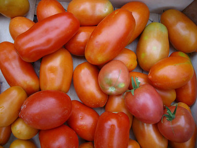 raccolto.jpg (97.29 KiB) Osservato 819 volte raccolto.jpg