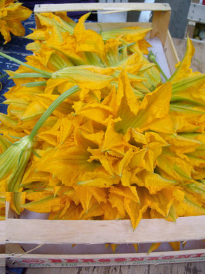 fiori5.jpg (121.86 KiB) Osservato 914 volte fiori5.jpg