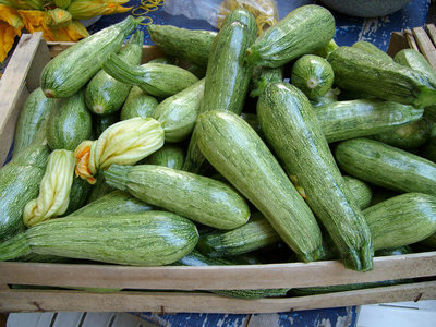 zucche5.jpg (163.16 KiB) Osservato 914 volte zucche5.jpg