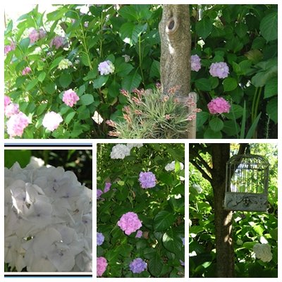 page2.jpg (167.15 KiB) Osservato 1208 volte page2.jpg