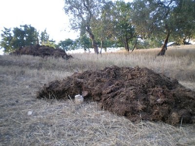 Letame.JPG (278.46 KiB) Osservato 688 volte Letame.JPG