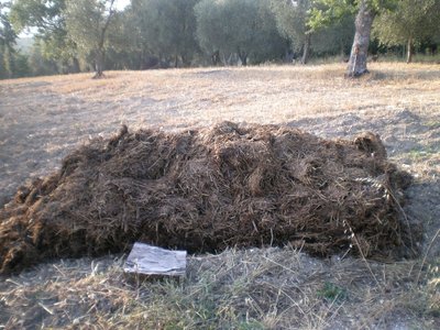 Letame 1.JPG (283.35 KiB) Osservato 688 volte Letame 1.JPG