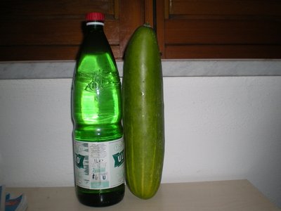 Cetriolo.JPG (132.44 KiB) Osservato 755 volte Cetriolo.JPG