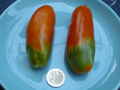 san marzano.. ottimo / pom2.jpg pom2.jpg