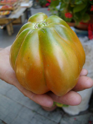 pom4.jpg (77.89 KiB) Osservato 892 volte pom4.jpg