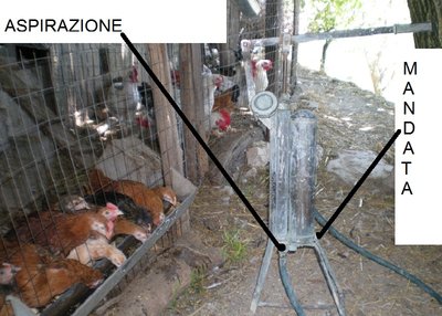 DSCN9762.JPG (198.3 KiB) Osservato 742 volte DSCN9762.JPG