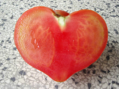 cuore di bue.JPG cuore di bue.JPG