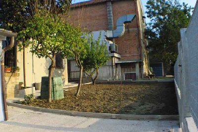 Questo è il mio orto, in tutto circa 45 mq piante comprese, sono presenti un albicocco, due rusticani, appena piantati un ciliegio, un pesco ed un melo, tutti nani / Orto.jpg Orto.jpg