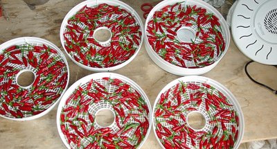 Peperoncini nell'essicatore.jpg (172.46 KiB) Osservato 962 volte Peperoncini nell'essicatore.jpg