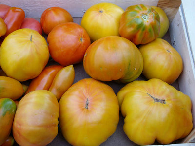 pom cassa.jpg (93.38 KiB) Osservato 928 volte pom cassa.jpg