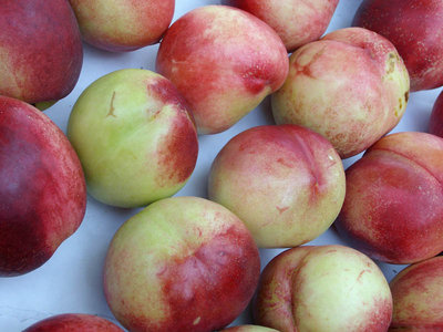 pesche bianche.jpg (107.82 KiB) Osservato 928 volte pesche bianche.jpg