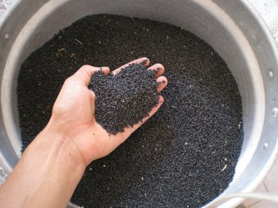 Semi cipolle.JPG (196.66 KiB) Osservato 848 volte Semi cipolle.JPG