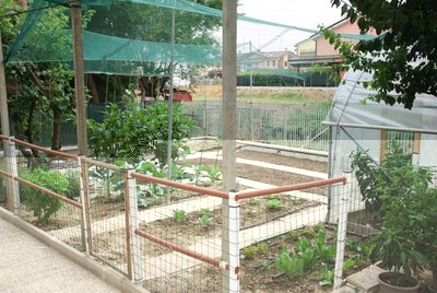 orto intero.jpg (102.08 KiB) Osservato 1015 volte orto intero.jpg