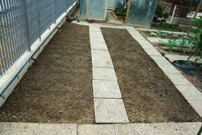 nuove semine.jpg (104.54 KiB) Osservato 1015 volte nuove semine.jpg