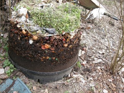 DSCN8508.JPG (329.98 KiB) Osservato 1672 volte DSCN8508.JPG