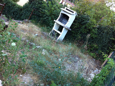 La zona ancora da coltivare / 1.jpg 1.jpg