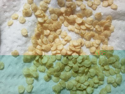 Giallo / 22092012001.jpg 22092012001.jpg