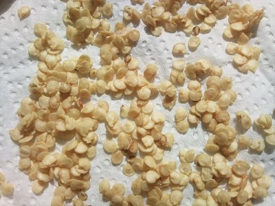 Rosso / 22092012.jpg 22092012.jpg