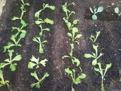 10102012001.jpg (394.76 KiB) Osservato 844 volte 10102012001.jpg