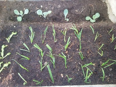 10102012002.jpg (390.61 KiB) Osservato 844 volte 10102012002.jpg