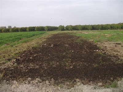 DSCF2674.JPG (60.1 KiB) Osservato 1683 volte DSCF2674.JPG