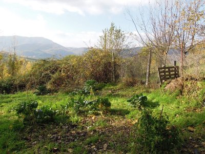 DSCN2531.JPG (179.24 KiB) Osservato 1019 volte DSCN2531.JPG