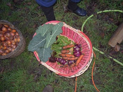 DSCN2621.JPG (167.06 KiB) Osservato 944 volte DSCN2621.JPG