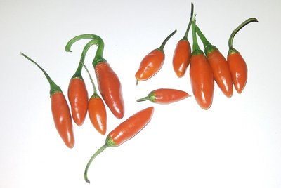 Finalmente altri peperoncini! / 30112012.jpg 30112012.jpg