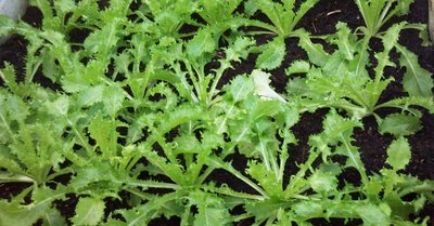 30112012001.jpg (358.58 KiB) Osservato 989 volte 30112012001.jpg